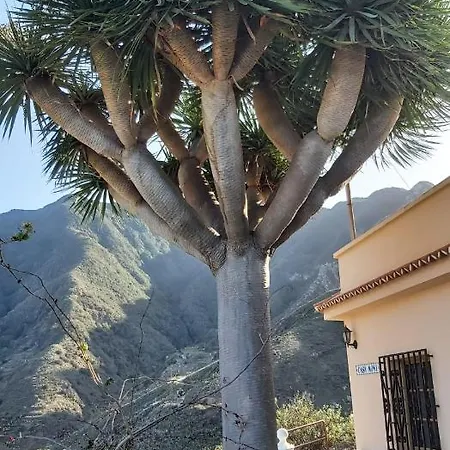 Casa Noni, Rural Escape In Taganana Holiday home Santa Cruz de Tenerife